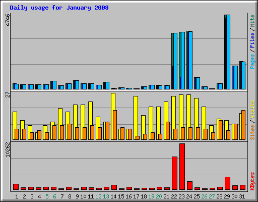 Daily usage for January 2008