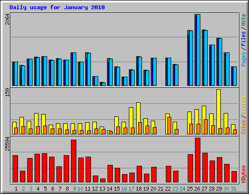 Daily usage for January 2010