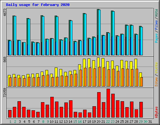 Daily usage for February 2020