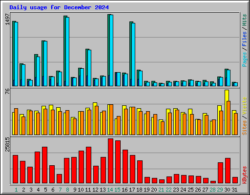 Daily usage for December 2024