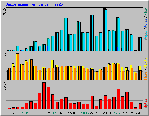 Daily usage for January 2025