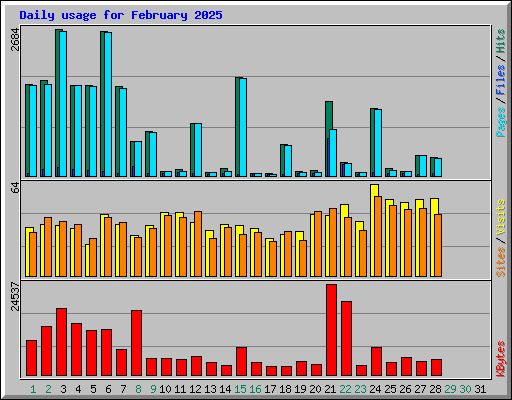 Daily usage for February 2025