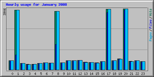 Hourly usage for January 2008