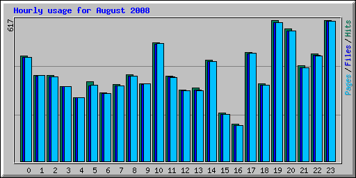 Hourly usage for August 2008