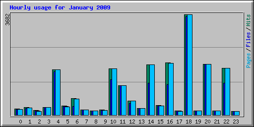 Hourly usage for January 2009