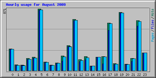 Hourly usage for August 2009