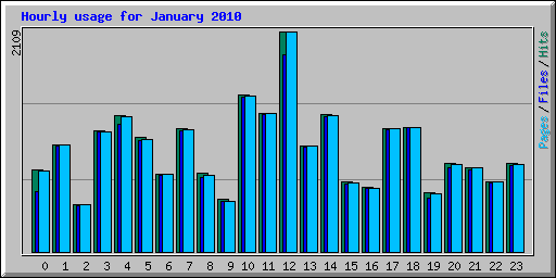 Hourly usage for January 2010