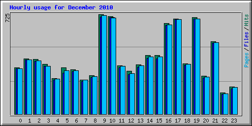 Hourly usage for December 2010