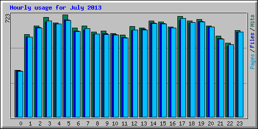 Hourly usage for July 2013