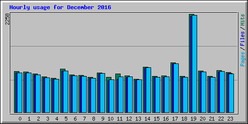 Hourly usage for December 2016