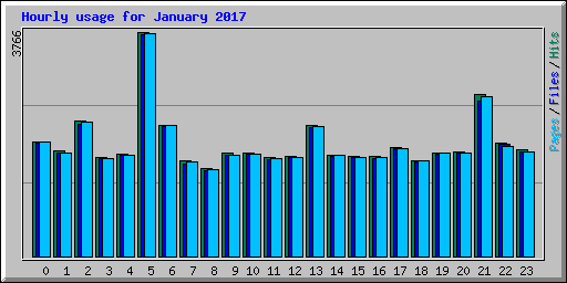 Hourly usage for January 2017