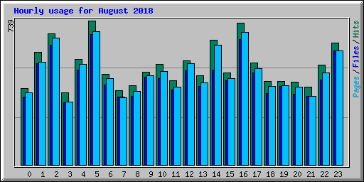 Hourly usage for August 2018