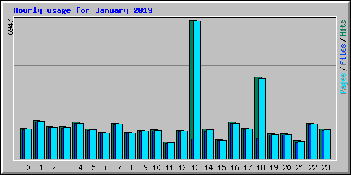 Hourly usage for January 2019