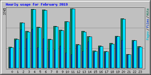 Hourly usage for February 2019