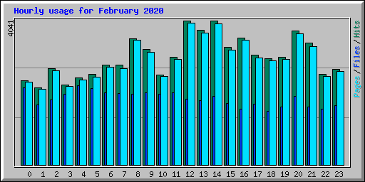 Hourly usage for February 2020