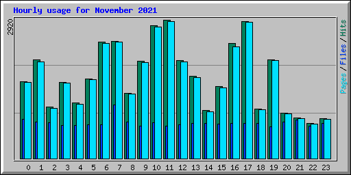 Hourly usage for November 2021