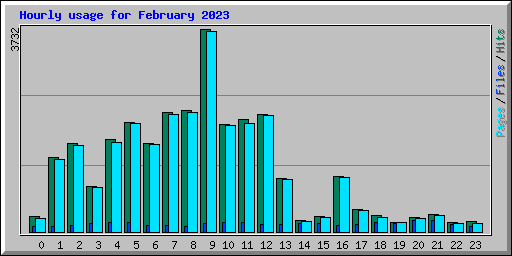 Hourly usage for February 2023