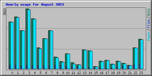 Hourly usage for August 2023