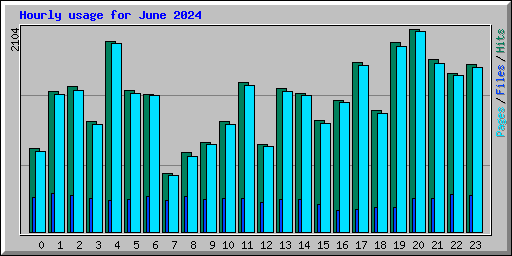 Hourly usage for June 2024