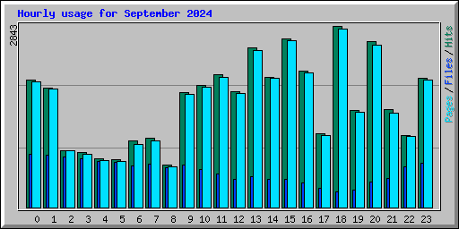 Hourly usage for September 2024