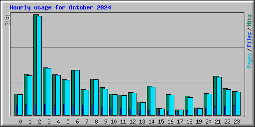 Hourly usage for October 2024