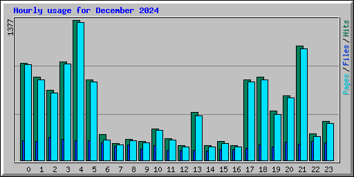 Hourly usage for December 2024