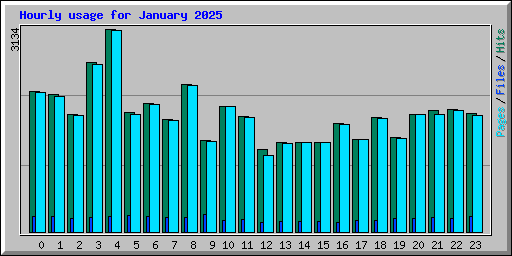 Hourly usage for January 2025