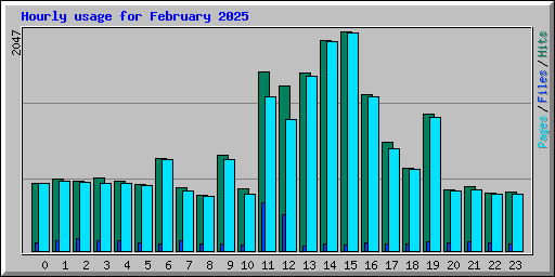 Hourly usage for February 2025